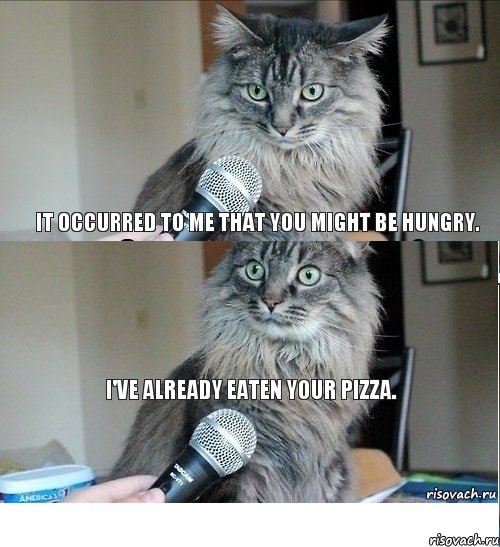 It occurred to me that you might be hungry.  I've already eaten your pizza. , Комикс  кот с микрофоном