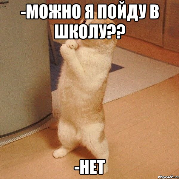 -Можно я пойду в школу?? -Нет, Мем  котэ молится