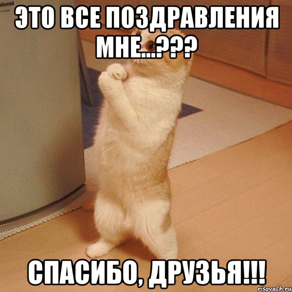 Это все поздравления мне...??? СПАСИБО, друзья!!!, Мем  котэ молится