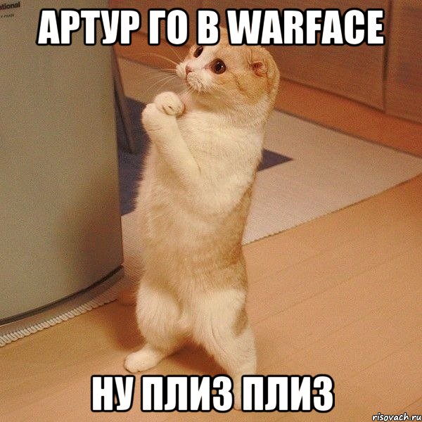 АРТУР ГО В WARFACE НУ ПЛИЗ ПЛИЗ, Мем  котэ молится