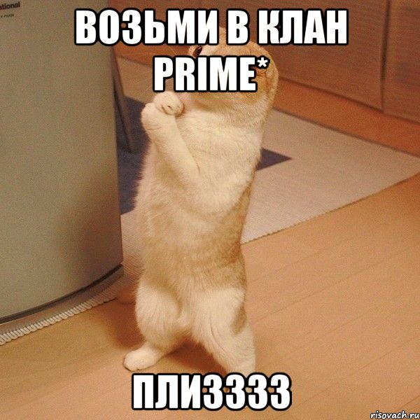 Возьми в клан Prime* Плизззз, Мем  котэ молится