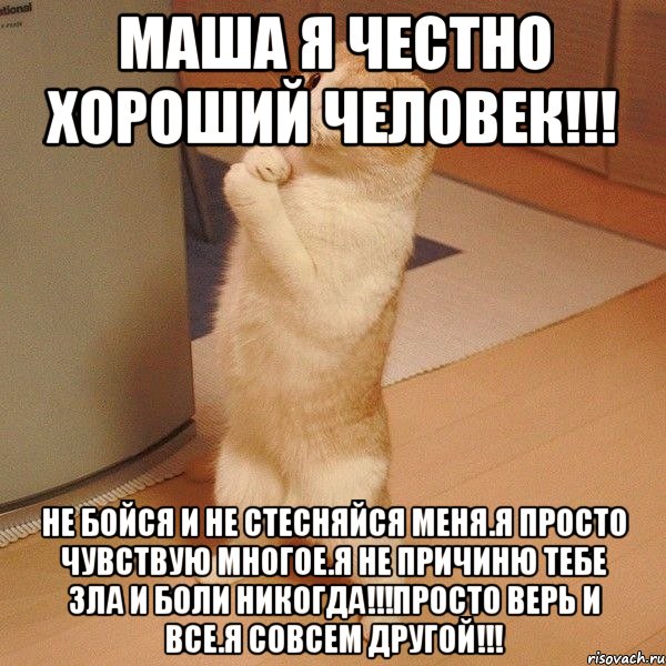 МАША Я ЧЕСТНО ХОРОШИЙ ЧЕЛОВЕК!!! НЕ БОЙСЯ И НЕ СТЕСНЯЙСЯ МЕНЯ.Я ПРОСТО ЧУВСТВУЮ МНОГОЕ.Я НЕ ПРИЧИНЮ ТЕБЕ ЗЛА И БОЛИ НИКОГДА!!!ПРОСТО ВЕРЬ И ВСЕ.Я СОВСЕМ ДРУГОЙ!!!, Мем  котэ молится