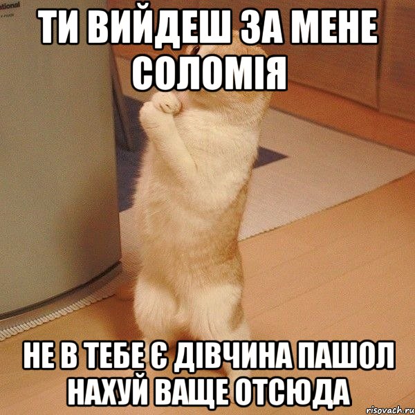 Ти вийдеш за Мене Соломія НЕ В ТЕБЕ Є ДІВЧИНА ПАШОЛ НАХУЙ ВАЩЕ ОТСЮДА, Мем  котэ молится