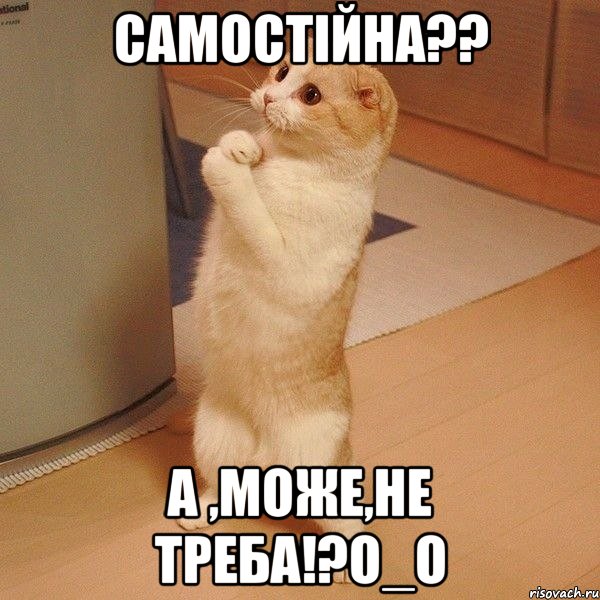 Самостійна?? А ,може,не треба!?О_о, Мем  котэ молится