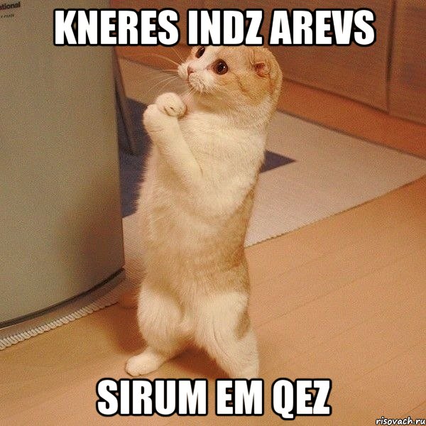 kneres indz Arevs sirum em qez, Мем  котэ молится