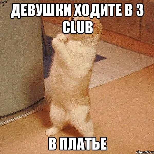 Девушки ходите в 3 CLUB В ПЛАТЬЕ, Мем  котэ молится