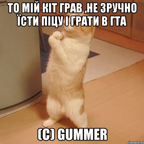 То мій кіт грав ,Не зручно їсти піцу і грати в ГТА (c) Gummer, Мем  котэ молится