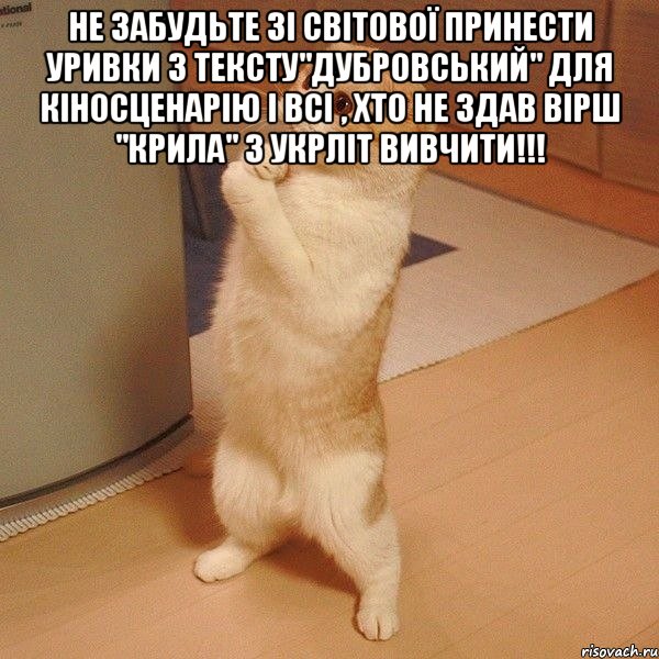 не забудьте зі світової принести уривки з тексту"Дубровський" для кіносценарію і всі , хто не здав вірш "Крила" з укрліт вивчити!!! , Мем  котэ молится