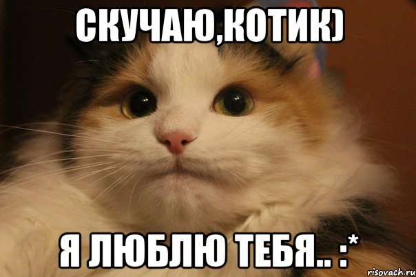 Скучаю,котик) Я люблю тебя.. :*, Мем  Кот в недоразумении