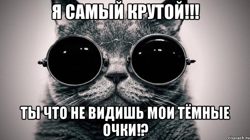 Я САМЫЙ КРУТОЙ!!! ТЫ ЧТО НЕ ВИДИШЬ МОИ ТЁМНЫЕ ОЧКИ!?