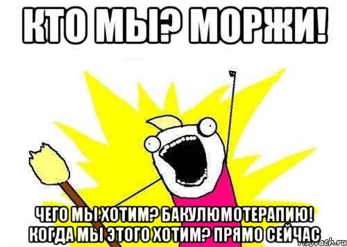 Кто мы? Моржи! Чего мы хотим? Бакулюмотерапию! Когда мы этого хотим? ПРЯМО СЕЙЧАС, Мем кто мы чего мы хотим