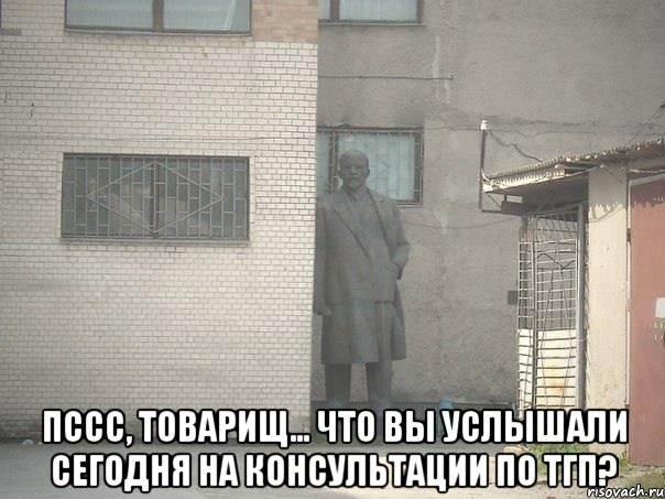  пссс, товарищ... что вы услышали сегодня на консультации по ТГП?, Мем  Ленин за углом (пс, парень)