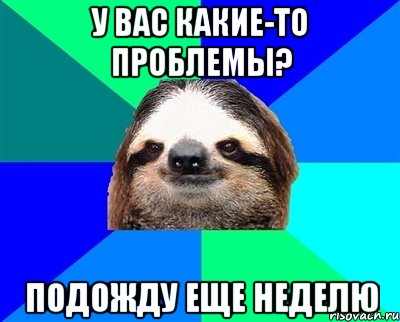 У Вас какие-то проблемы? Подожду еще неделю, Мем Ленивец