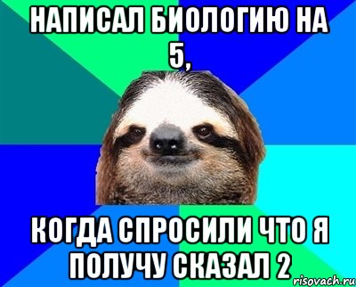 Написал биологию на 5, когда спросили что я получу сказал 2, Мем Ленивец