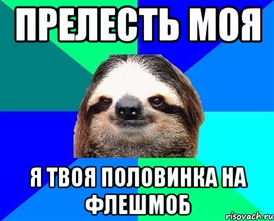 прелесть моя я твоя половинка на флешмоб, Мем Ленивец