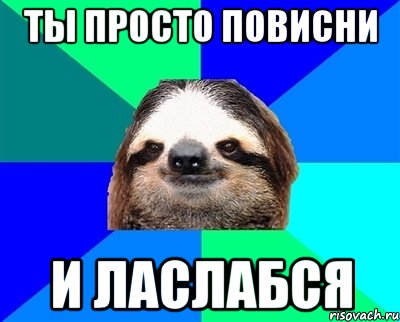 ты просто повисни и ласлабся, Мем Ленивец