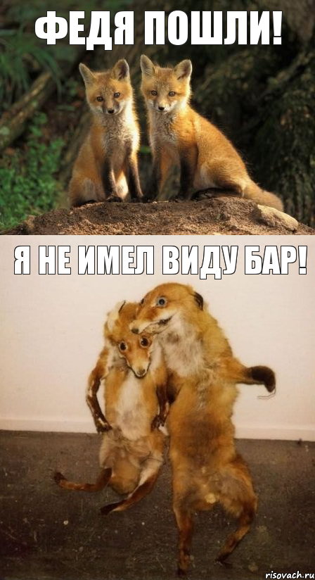 Федя пошли! Я не имел виду бар!, Комикс Лисицы