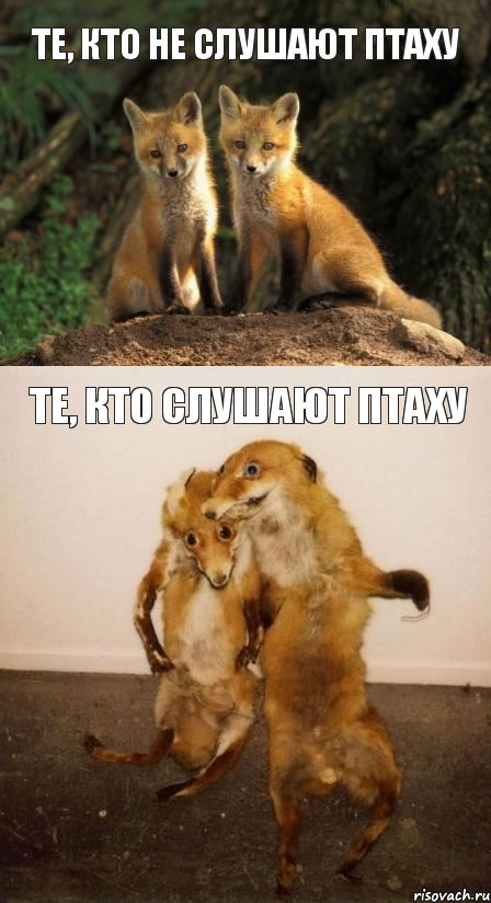 те, кто не слушают Птаху Те, кто слушают Птаху, Комикс Лисицы