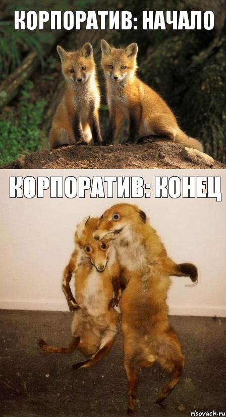 Корпоратив: начало Корпоратив: конец, Комикс Лисицы