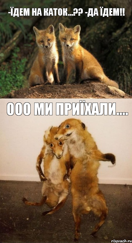 -їдем на каток...?? -да їдем!! ооо ми приїхали...., Комикс Лисицы