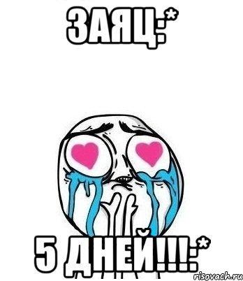 Заяц:* 5 дней!!!:*, Мем Влюбленный