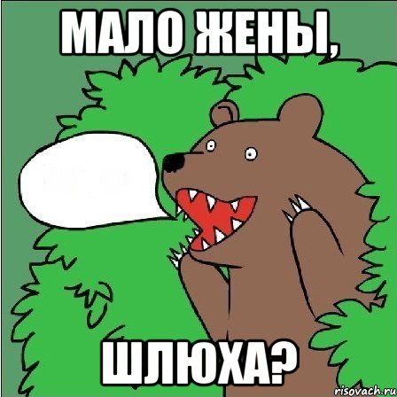 Мало жены, шлюха?, Мем Медведь-шлюха