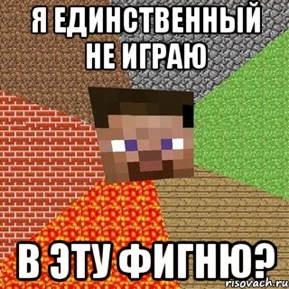 я единственный не играю в эту фигню?, Мем Миникрафтер