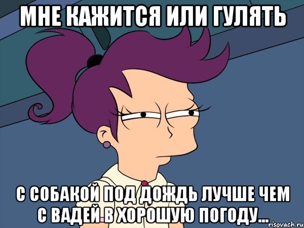 мне кажится или гулять с собакой под дождь лучше чем с Вадей в хорошую погоду..., Мем Мне кажется или (с Лилой)