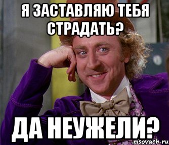 я заставляю тебя страдать? да неужели?, Мем мое лицо