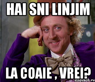 hai sni linjim la coaie , vrei?, Мем мое лицо