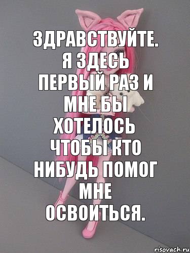 Здравствуйте. Я здесь первый раз и мне бы хотелось чтобы кто нибудь помог мне освоиться.