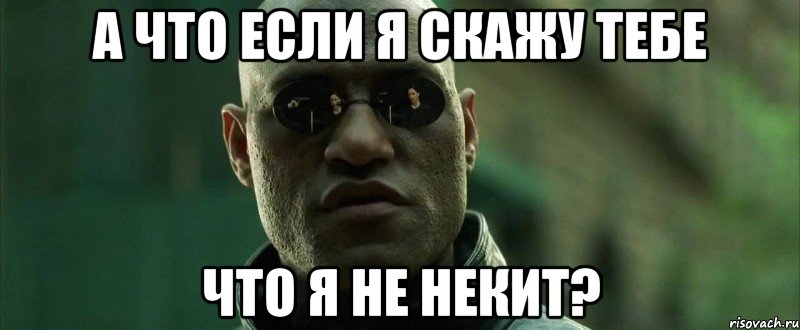 А что если я скажу тебе что я не Некит?