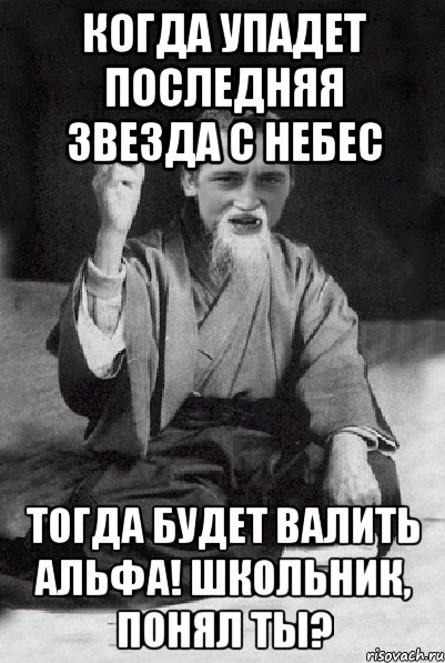 Когда упадет последняя звезда с небес тогда будет валить Альфа! Школьник, понял ты?, Мем Мудрий паца