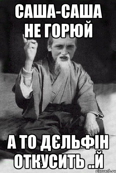 саша-саша не горюй а то дєльфін откусить ..й, Мем Мудрий паца