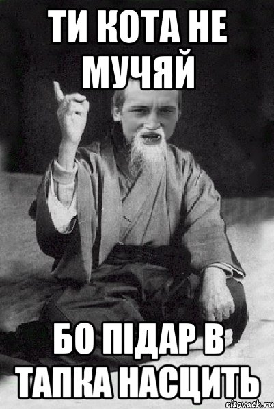 Ти кота не мучяй Бо підар в тапка насцить, Мем Мудрий паца