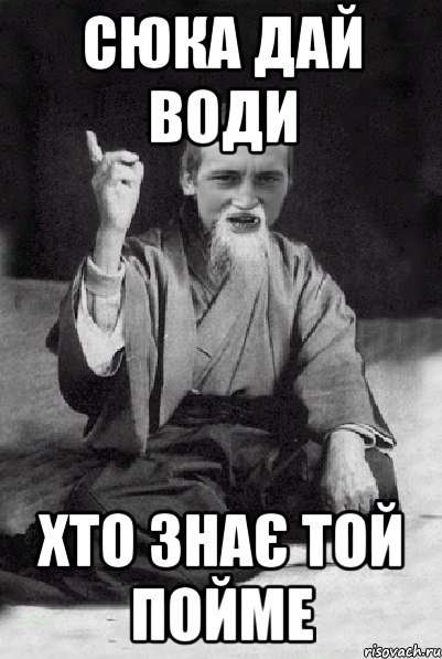 Сюка дай води Хто знає той пойме, Мем Мудрий паца