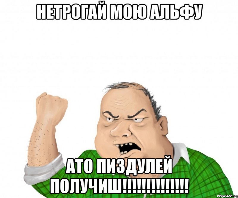 Нетрогай мою АЛЬФУ АТО ПИЗДУЛЕЙ ПОЛУЧИШ!!!!!!!!!!!!!!, Мем мужик