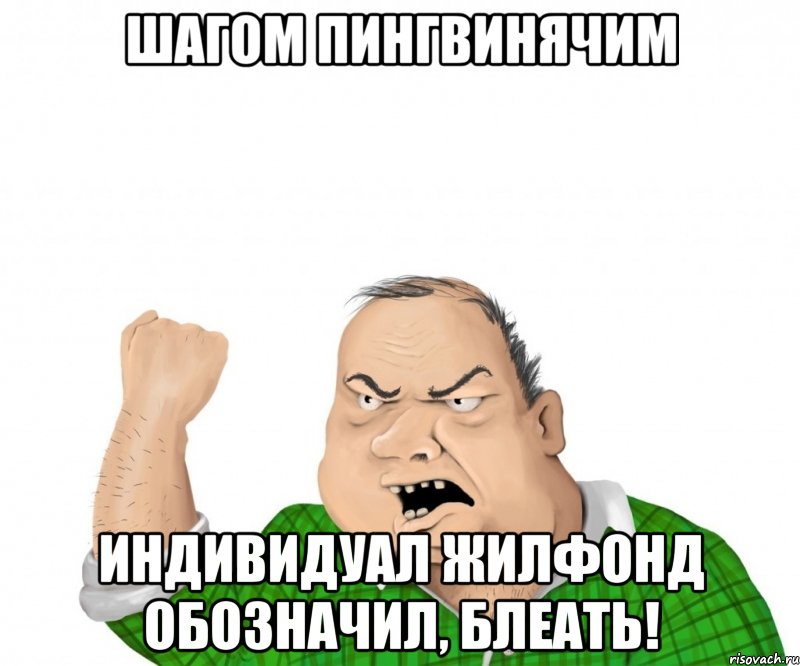 Шагом пингвинячим индивидуал жилфонд обозначил, блеать!, Мем мужик