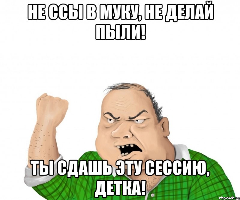 Не ссы в муку, не делай пыли! Ты сдашь эту сессию, детка!, Мем мужик