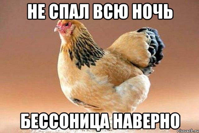 не спал всю ночь бессоница наверно, Мем наивная курица