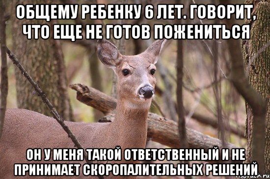 Общему ребенку 6 лет. Говорит, что еще не готов пожениться Он у меня такой ответственный и не принимает скоропалительных решений, Мем Наивная олениха