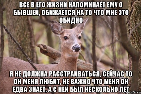 Все в его жизни напоминает ему о бывшей, обижается на то что мне это обидно Я не должна расстраиваться, сейчас то он меня любит, не важно что меня он едва знает, а с ней был несколько лет, Мем Наивная олениха