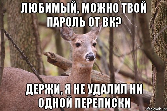 Любимый, можно твой пароль от вк? Держи, я не удалил ни одной переписки, Мем Наивная олениха