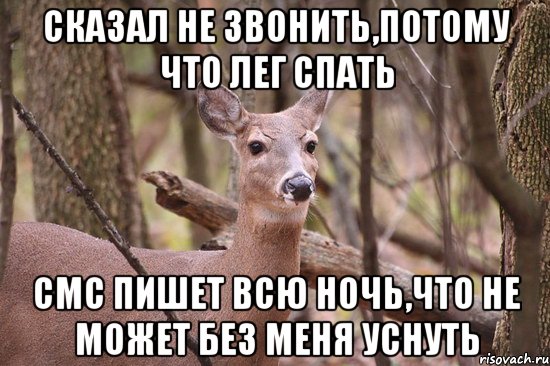 сказал не звонить,потому что лег спать смс пишет всю ночь,что не может без меня уснуть, Мем Наивная олениха