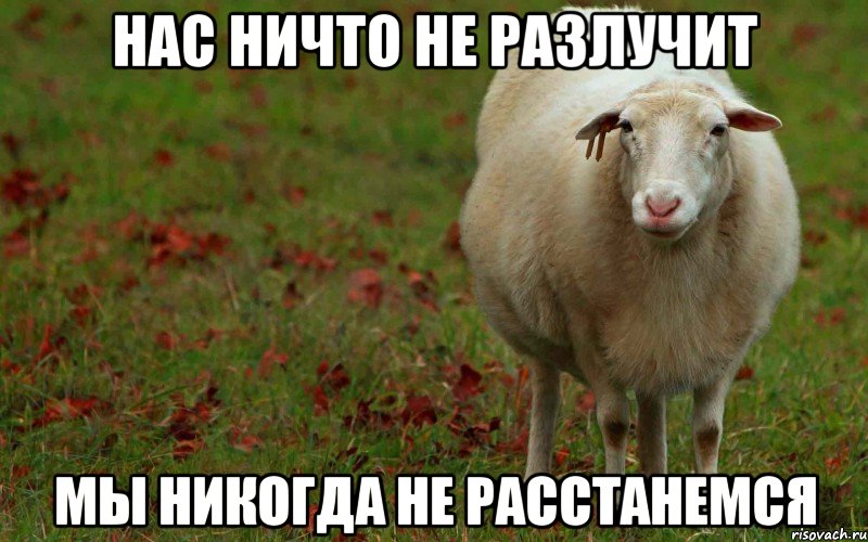 НАС НИЧТО НЕ РАЗЛУЧИТ МЫ НИКОГДА НЕ РАССТАНЕМСЯ