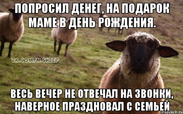 Попросил денег, на подарок маме в день рождения. Весь вечер не отвечал на звонки, наверное праздновал с семьей, Мем  Наивная Овца