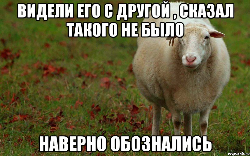 Видели его с другой , сказал такого не было Наверно обознались, Мем  наивная овца