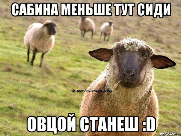 сабина меньше тут сиди овцой станеш :D