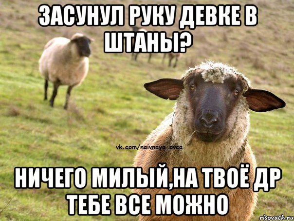 Засунул руку девке в штаны? Ничего милый,на твоё др тебе все можно, Мем  Наивная Овца