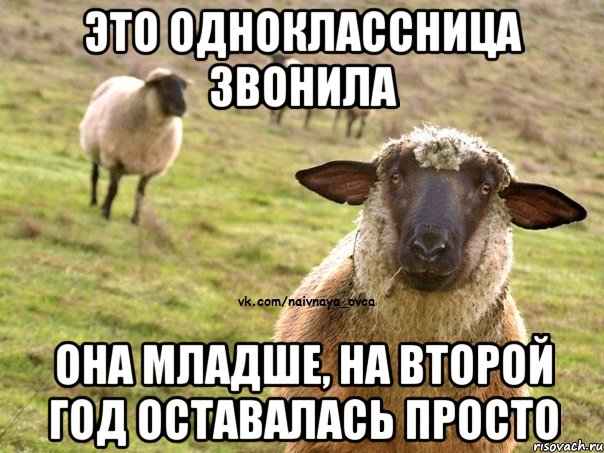 это одноклассница звонила она младше, на второй год оставалась просто, Мем  Наивная Овца